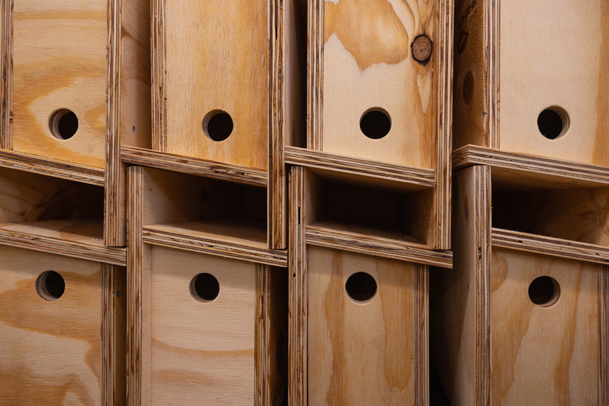 houten vleermuizenkasten